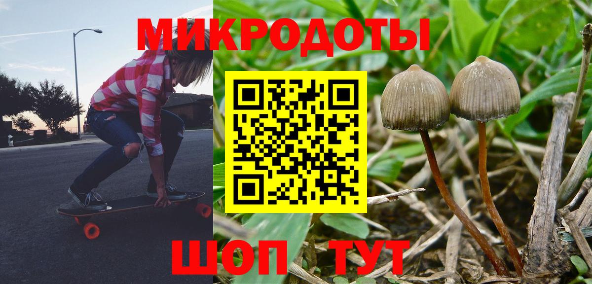 Химки  Галлюциногенные грибы мицелий  Вход с VPN 